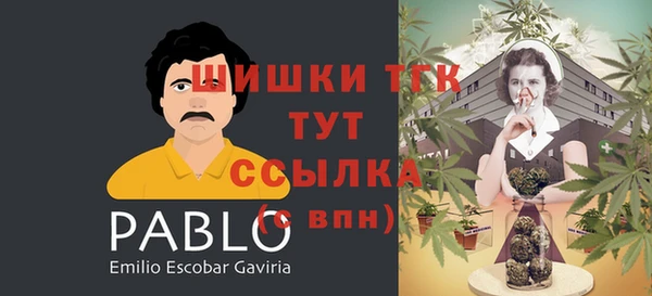 соль ск Дмитров