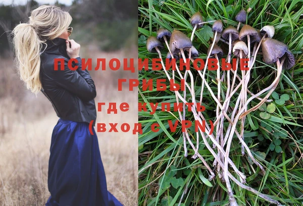 соль ск Дмитров