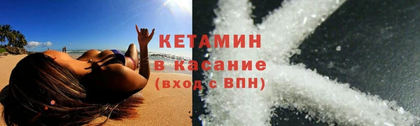 сатива Дмитровск