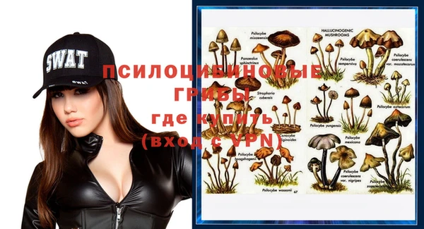 метадон Дмитриев