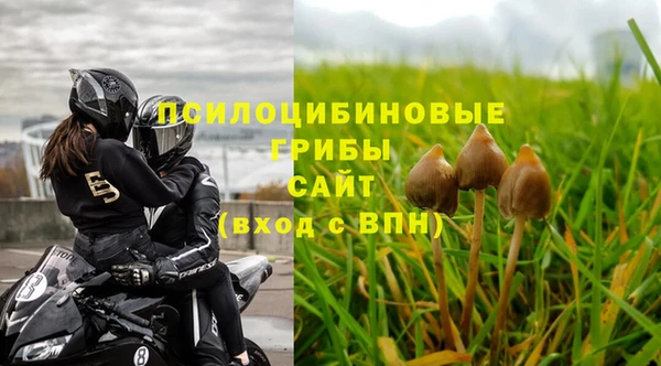 соль ск Дмитров