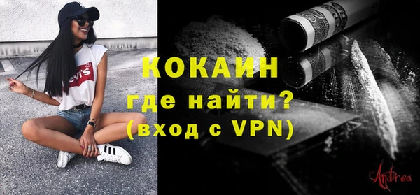 соль ск Дмитров