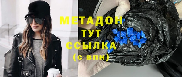 сатива Дмитровск