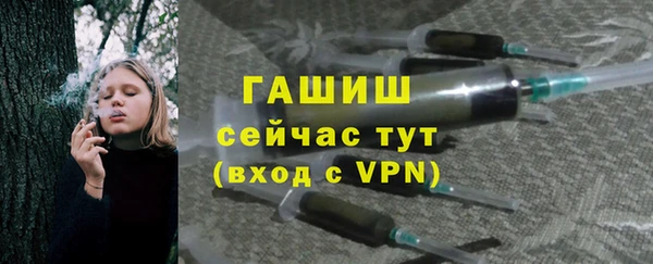 сатива Дмитровск