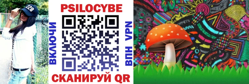 Псилоцибиновые грибы мицелий  Завитинск 