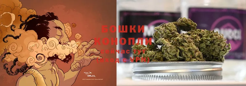 наркота  Завитинск  Бошки марихуана White Widow 